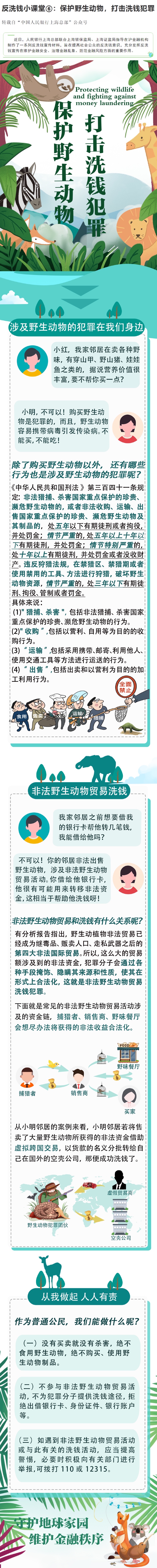 反洗錢小課堂⑥：保護(hù)野生動(dòng)物，打擊洗錢犯罪.jpg